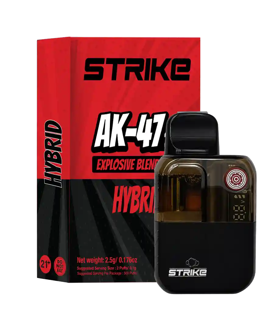 STRIKE 2,5G DISPOSABLE HYBRID - AK-47